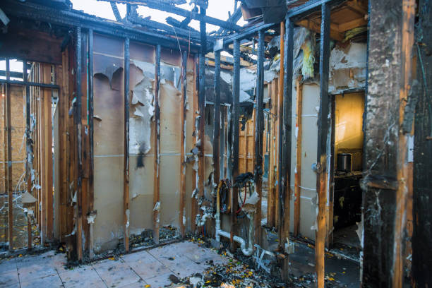 Professional Fire Damage Repair technician working in Anna Maria, FL